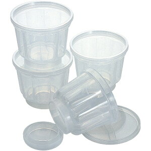 ^CK[NEbTIGER CROWN [[[h4P