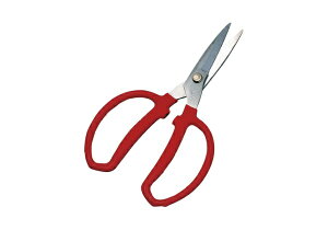 jbT`FCbNISSA CHAIN jbT R-AS30 A~S}e 15m 