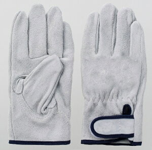 xmO[ubFuji Glove xm #5929 pbN }WbN 10og