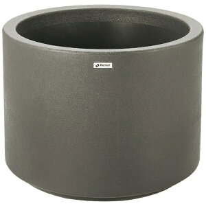 yGg[ōőSz|CgҌb11/5z b`FbRichell b`F@^Ev^[WS@60^@v[@_[NO[ 81216 y[J[EsEԎwEԕi