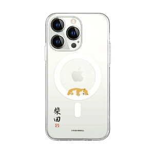 ROA�b���A iPhone 15 Pro Max �V�o�^�T��MagSafe�Ή��N���A�P�[�X abbi FRIENDS�i�A�r�B�t�����Y�j ���Q ABF25405i15PM