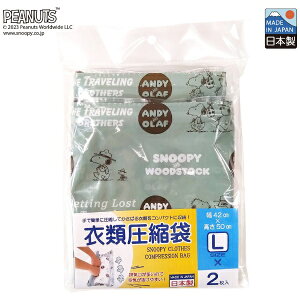 VANGUARDboK[h Xk[s[EbhXgbN ߗވk܁iLTCYE2j XO[ AD269