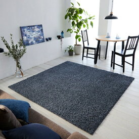 スミノエ｜SUMINOE ルーパス　ラグ　261×261cm ネイビー【サイズオーダー可能】