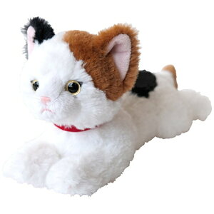 Tbsunlemon Ђ˂ ʂ SSTCY ~P