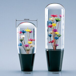 JET INOUEbWFbgECmEG ԃVtgmu 100mm 12X1.25 560872