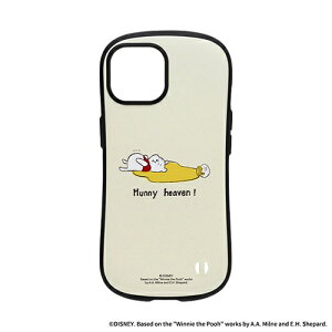 HAMEEbn~B miPhone 15pnfBYj[LN^[ iFace First ClassP[X iFace v[/݂͂ 41-965344