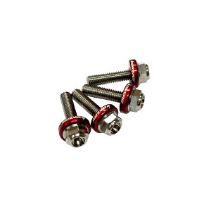 �o�C�J�[�Y�bBIKERS BIKERS �X�N���[���p �X�e�����X�{���g ���b�h ADV160 23-24 Z900 20-24 Z650 20-25 X-ADV 17-25 ���b�h C0409-RED