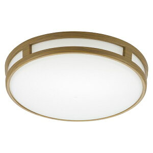 I[d@bOHM ELECTRIC LED~jV[OCg^Cv60`810[F LE-Y7BC-TD [F /LED]