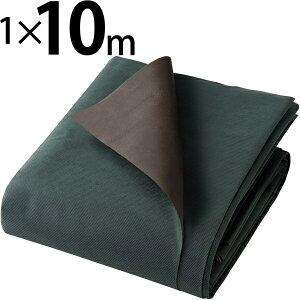 AXgbAstro 602-39S |phV[g@o[Vu@1×10m