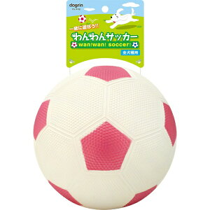 X[p[LbgbSuperCat TbJ[ L sN WN-05