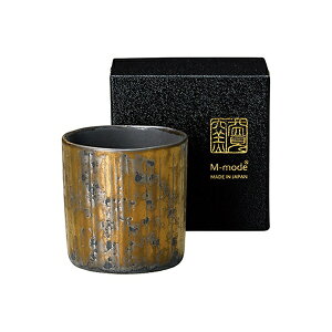 M-mode �v���q ���� �ؗ��u ���� �S�[���h
