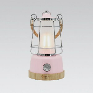 �y�G���g���[�ōő�2���|�C���g������b4/23�܂Łz GOODGOODS�b�O�b�h�E�O�b�Y LED�L�����v�����^�� ���s���N DS-8E-SPK [LED /�h���Ή�]