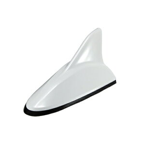 JET INOUEbWFbgECmEG V[NAei TVp SMA[q zCg 592984