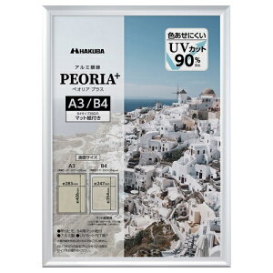 HAKUBAbnNo A~z yIAvX A3/B4 Vo[ FAPEP-SVA3