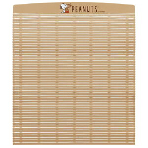 SkaterbXP[^[ XP[^[@@SNOOPY@KMKS1AG