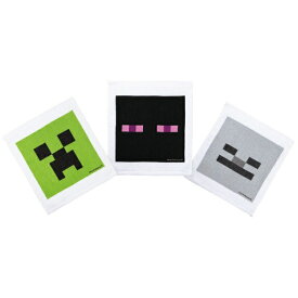 Skater｜スケーター スケーター　おしぼりタオル（3P）　Minecraft　OAC1T