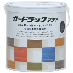 Washin PaintbaMyCg aM #800361 K[hbNANA ubN 0.6kg