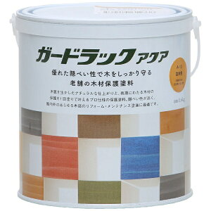 Washin PaintbaMyCg aM #800369 K[hbNANA ؐF0.6kg