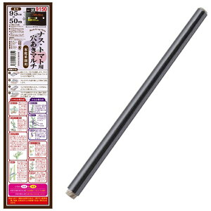 Tt[bSUNFLOWER Tt[ iXEg}g}` 9150  50m