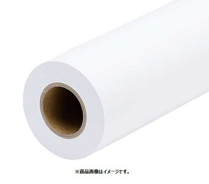 EPSONbGv\ kCNWFbglv~A}bgLoX 2C` [1118mmx12.2m /1] PXSMCV44R