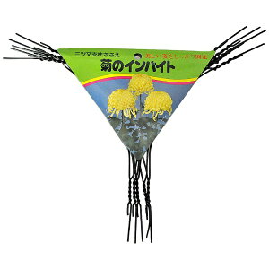 �n�ӑׁbWATANABETAI �n�ӑ� �e�̃C���o�C�h 5�{��