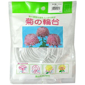 �n�ӑׁbWATANABETAI �n�ӑ� �e�̗֑� 12cm 10��