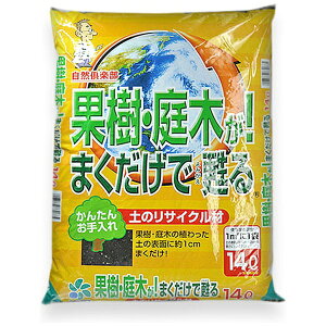 RpȊw Rp ʎ؂܂S 14L