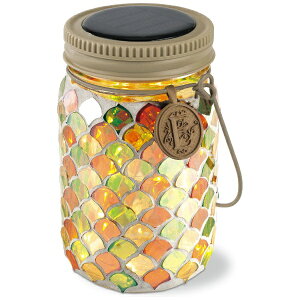 LV}bKISHIMA LV} KL-10354 Gg \[[Cg Citrus Nut