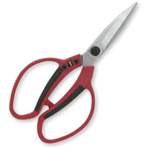 J}LbKamaki J}L #650-DN OXt@Co[ | 210mm