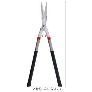 J}LbKamaki J}L #560K #560p֐n