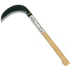 L{VbKINBOSHI GS #160274 VZ ̂ڂ^G؊