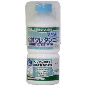 Washin PaintbaMyCg aM #941310 E^jX zCg 300ml