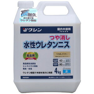 Washin PaintbaMyCg aM #941855 E^jX N[4kg