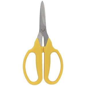 �O���R�[�|���[�V�����bSANKYO CORPORATION sita A007 �X�e�����}�� �M�U�n #331007