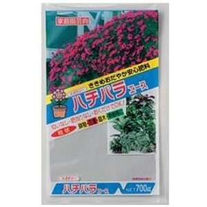 g`[btoyochu g`[ #039598 n`pG[X 700g