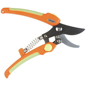 yGg[ōőSz|CgҌb11/5z T{ebSaboten T{e #1370y؃tbf IW170mm