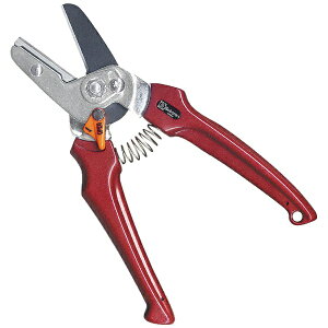 T{ebSaboten T{e #EX-5  ،^ tbf 195mm