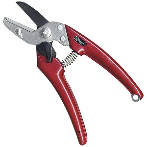 T{ebSaboten T{e #EX-8fB[X؃tbf175mm