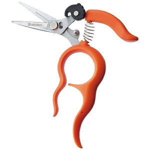 T{ebSaboten T{e #B-2 XeԂǂE IW Xe