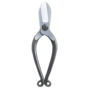 PbIJcl P  D-55H^ #215