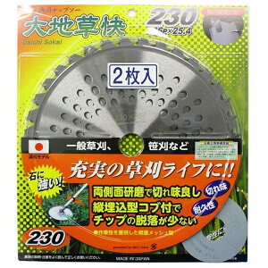 �n�E�X�r�[�G���bHOUSE B.M BM ��n���� 2P 230X36P #473