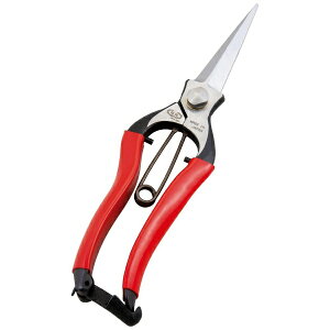 ѐbKobayashi Seikyo zH B-4 ŕVmMt~200