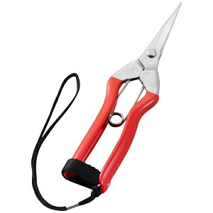 ѐbKobayashi Seikyo zH S-1S XeXE Xeol185mm BP