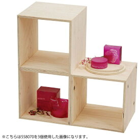 ヤマコー｜YAMACO ヤマコー #55807 HP4面体DP BOX 無塗装 1個