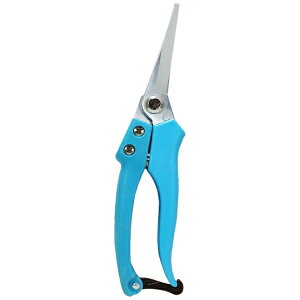 ЎRbKatayama Riki ЎR #601357yʃvnGF-210P