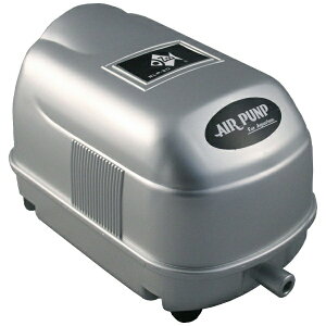 [XCbZENSUI [XC RLP-20