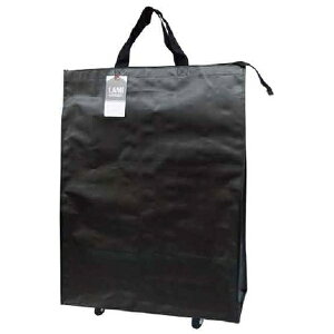 TTC vȑeʃobO ~NXobOiLX^[tj ubN 51126