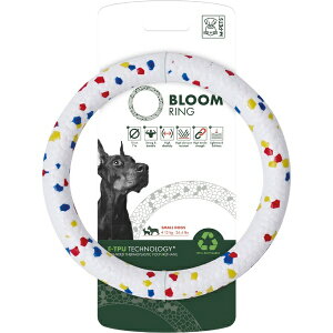 ؃eBt@[bPetifam hbOgC u[O