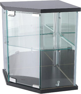 sfՁbFuji Boeki KXRNVP[X R[i[ BK ubN G309BK