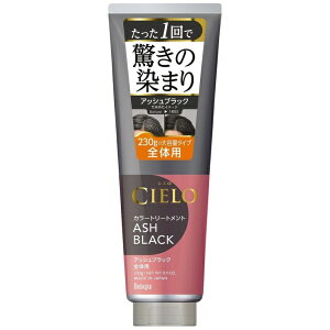 hoyu�b�z�[���[ CIELO�i�V�G���j�J���[�g���[�g�����g �S�̗p 230g �A�b�V���u���b�N